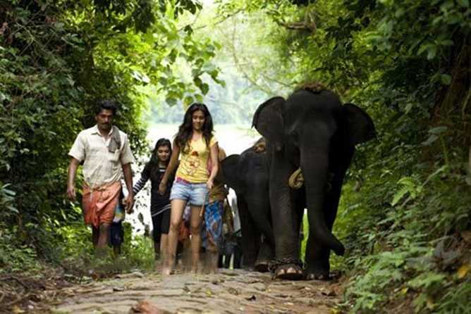 aana-savari-01