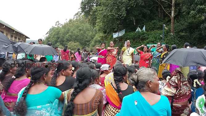 Munnar-003