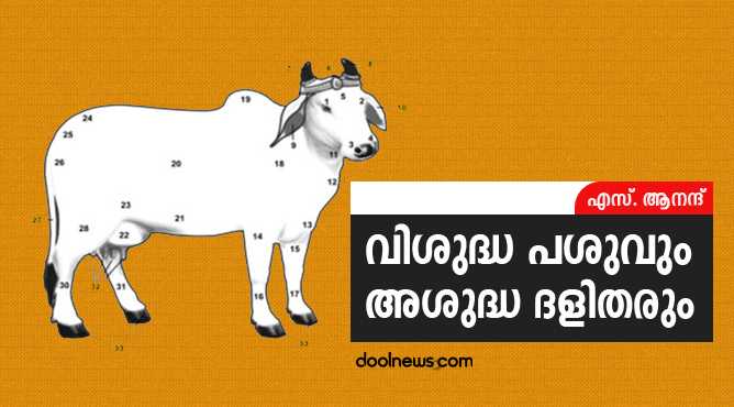 holy-cow-unholy-dalits2