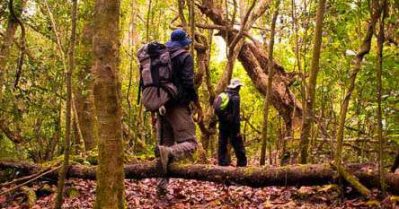 ഇടുക്കി കാടുകളറിയാന്‍ നാലു ദേശീയോദ്യാനങ്ങള്‍