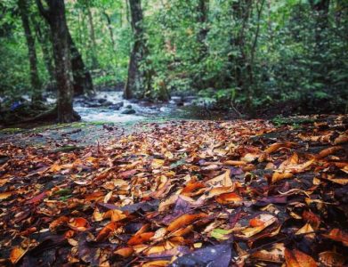 ഗൂഗിള്‍ മാപ്പില്‍ ഇടമില്ലാത്ത ഇടുക്കിയിലെ മക്കുവള്ളി കാഴ്ചകള്‍. . . 