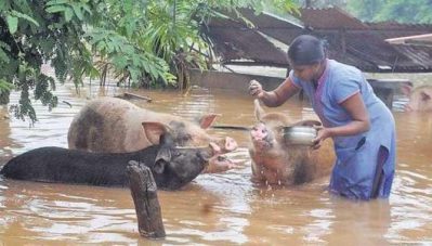 മഴക്കെടുതിയില്‍ ശ്രദ്ധേയമായ ഈ ചിത്രത്തിന് പിന്നിലെ ജീവിതം ഇതാണ്