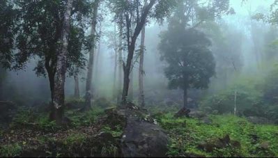 വയനാട് അട്ടമലയില്‍ ഉരുള്‍പൊട്ടല്‍; ഇരുപതിലധികം ആദിവാസികള്‍ കുടുങ്ങിക്കിടക്കുന്നു