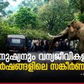 'മനുഷ്യനും വന്യജീവികളും'; സംഘര്‍ഷങ്ങളിലെ  സങ്കീര്‍ണതകള്‍