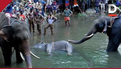 'ആന കൊല്ലപ്പെട്ട സംഭവത്തില്‍ അംസത്ത് അലിയും തമീം ഷെയ്ഖും അറസ്റ്റില്‍'; സംഭവം മലപ്പുറത്തല്ലെന്ന് തെളിഞ്ഞിട്ടും കേന്ദ്രസര്‍ക്കാരുമായി ബന്ധപ്പെട്ടവരുള്‍പ്പെടെ വ്യാജപ്രചരണം തുടരുന്നു