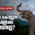 ആന കൊല്ലുന്ന മനുഷ്യര്‍ക്ക് വിലയില്ലേ | Special Report