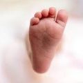 ദത്ത് നടപടികള്‍ തുടങ്ങിയപ്പോള്‍ അമ്മത്തൊട്ടിലില്‍ ഉപേക്ഷിച്ച കുഞ്ഞിനെ തിരികെ ആവശ്യപ്പെട്ട് അമ്മ