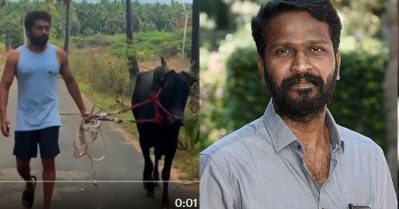 വാടിവസലിനായി സൂര്യ രണ്ട് കാളയെ വാങ്ങി; ഇപ്പോള്‍ പരിശീലനത്തിലാണ്: വെട്രിമാരന്‍