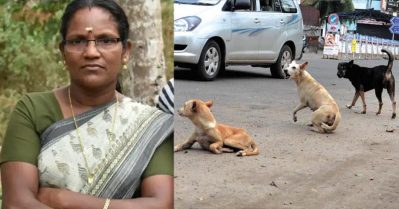 കോഴിക്കോട് തെരുവുനായയുടെ കടിയേറ്റ വീട്ടമ്മ മരിച്ചു