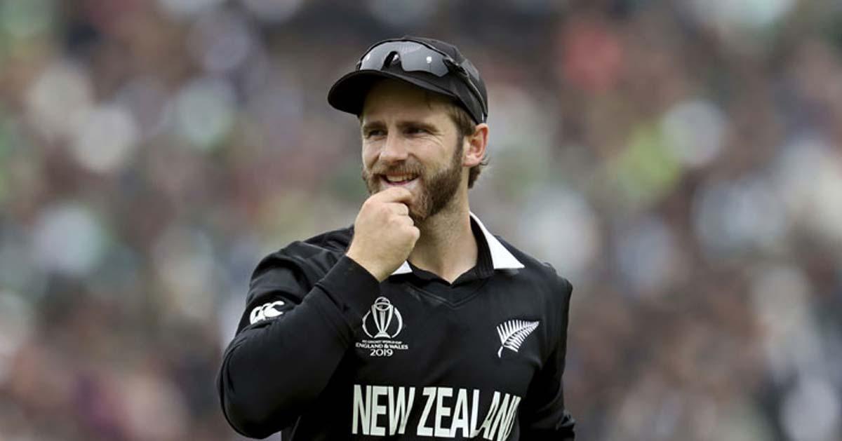Kane Williamson's World Cup Road to Victory Archyde