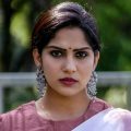 തമിഴിലെ പോലെ വാല്യൂ ഉള്ള സിനിമകൾ മലയാളത്തിൽ എനിക്ക് കിട്ടുന്നില്ല: സ്വാസിക
