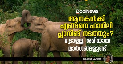 ആനകള്‍ക്ക് എങ്ങനെ ഫാമിലി പ്ലാനിങ് നടത്തും? ട്രോളല്ല, ശരിയായ മാര്‍ഗങ്ങളുണ്ട്