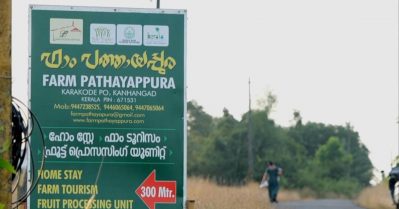 The beauty of nature, farm pathayappura