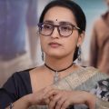 ചെറിയ പ്രായവ്യത്യാസമേയുള്ളൂ, എന്നിട്ടും ഞാന്‍ ആ മലയാള നടന്റെ അമ്മയായി അഭിനയിച്ചു: സംഗീത