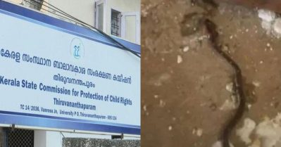 വിദ്യാര്‍ത്ഥിക്ക് പാമ്പ് കടിയേറ്റ സംഭവം; കേസെടുത്ത് ബാലാവകാശ കമ്മീഷന്‍