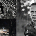 പൊന്നാനി ഹാര്‍ബറിനടുത്തെ ചരിത്രപ്രാധാന്യമുള്ള പാണ്ടികശാല പൊളിച്ചുനീക്കുന്നതില്‍ ആശങ്കയറിയിച്ച് സാംസ്‌ക്കാരിക-ടൂറിസം വകുപ്പുകള്‍ക്ക് തുറന്ന കത്ത്