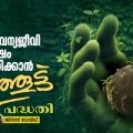 മനുഷ്യ-വന്യജീവി സംഘർഷ ലഘൂകരിക്കാൻ ‘വിത്തൂട്ട്’ പദ്ധതി