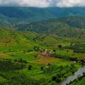 അട്ടപ്പാടിയിൽ ഭൂപരിഷ്‌ക്കരണ നിയമം അട്ടിമറിച്ച് ഭൂമി വില്പന; വില്പന റവന്യു രജിസ്‌ട്രേഷൻ ഉദ്യോഗസ്ഥരുടെ ഒത്താശയോടെ