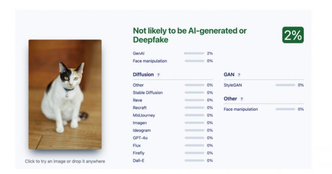 Deepfake AI discrete software output