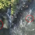 ജമ്മു കശ്മീരില്‍ ഭീകരരെ സഹായിച്ചയാള്‍ സൈന്യത്തിന്റെ പിടിയില്‍ നിന്ന് രക്ഷപ്പെടാന്‍ ശ്രമിക്കവെ മുങ്ങി മരിച്ചു