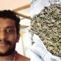ബി.ജെ.പി നേതാവിന്റെ പൂജാ മുറിയില്‍ നിന്ന് 1.2 കിലോ ഗ്രാം കഞ്ചാവും അഞ്ച് ഗ്രാം എം.ഡി.എം.എയും പിടിച്ചെടുത്ത് പൊലീസ്