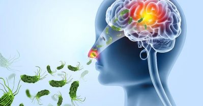 ഒരു മാസത്തിനിടെ ആറ് മരണങ്ങള്‍; അമീബിക് മസ്തിഷ്‌ക ജ്വരം ഭീതിയാകുമ്പോള്‍