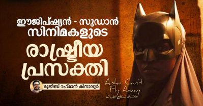 ഈജിപ്ഷ്യന്‍ - സുഡാന്‍ സിനിമയുടെ രാഷ്ട്രീയ പ്രസക്തി