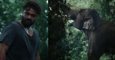 വി. എഫ്.എക്‌സ് ഇല്ലാത്ത ഒറിജിനല്‍ ആന; കട്ട ആക്ഷന്‍ പടം, കാട്ടാളന്റെ ടീസര്‍ പുറത്ത്