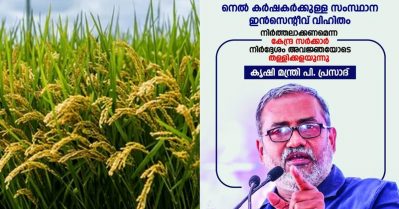 നെല്‍കര്‍ഷകര്‍ക്കുള്ള സംസ്ഥാന ഇന്‍സെന്റീവ് വിഹിതം നിര്‍ത്തലാക്കണമെന്ന് കേന്ദ്രം; നിര്‍ദേശം കര്‍ഷകവിരുദ്ധമെന്ന് കൃഷിമന്ത്രി