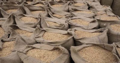 ഇസ്രഈല്‍ -ഇറാന്‍ സംഘര്‍ഷം: ഇന്ത്യയില്‍ നിന്നുള്ള അരി കയറ്റുമതി സ്തംഭനത്തില്‍; തുറമുഖങ്ങളില്‍ കെട്ടിക്കിടക്കുന്നത് 4 ലക്ഷം ടണ്‍