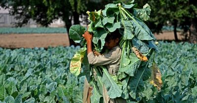 ഇറാൻ - അമേരിക്ക ആക്രമണം; രാജ്യത്ത് അധികം ഉത്പാദിപ്പിക്കുന്ന ഭക്ഷ്യവസ്തുക്കൾ ഗൾഫിലേക്ക് അയക്കാനൊരുങ്ങി പാകിസ്ഥാൻ