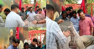 അയ്യങ്കാളി ചിത്രത്തിന് മുന്നില്‍ മാലിന്യ സംഭരണി സ്ഥാപിച്ച് തിരുവനന്തപുരം കോര്‍പ്പറേഷന്‍; നീക്കം ചെയ്ത് പി.കെ.എസ് പ്രവര്‍ത്തകര്‍