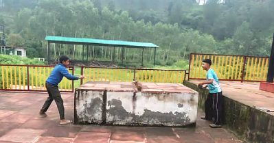 ശ്മശാനത്ത് ടേബിൾ ടെന്നിസ്; ഉത്തരാഖണ്ഡ് ബി.ജെ.പി സർക്കാരിനെതിരെ കോൺഗ്രസ്