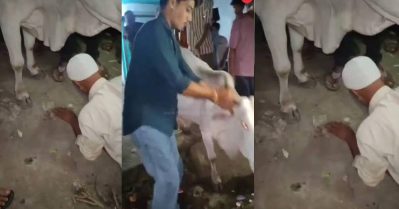 പശുവിനെ ചവിട്ടിയെന്നാരോപണം: മധ്യപ്രദേശില്‍ മുസ് ലിം വയോധികനെകൊണ്ട് പശുവിന്റെ കാല്‍ തൊട്ട് മാപ്പ് പറയിച്ച് ബജ്‌റംഗ്ദള്‍ പ്രവര്‍ത്തകര്‍