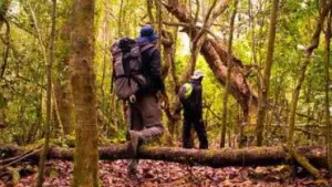 ഇടുക്കി കാടുകളറിയാന്‍ നാലു ദേശീയോദ്യാനങ്ങള്‍