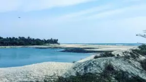 ക​ട​ലും കാ​യ​ലും സം​ഗ​മി​ക്കും തോ​ട്ട​പ്പ​ള്ളി