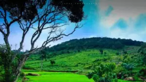 ശിവനും ആകാശഗംഗയും തിഴ്നാട്ടിലെ കൊല്ലിമലയിലുണ്ട്. . .