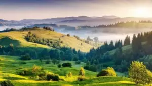 കാ​ടി​ന്‍റെ വ​ര​ദാ​നം... കൊ​ടൈ​ക്ക​നാ​ൽ