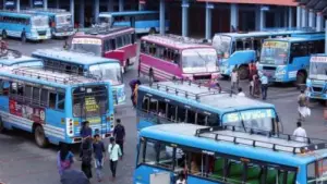 സ്വാകാര്യ ബസുകള്‍ മദയാനകളെ പോലെ; പൊലീസിനെയും കോടതിയേയും ഭയമില്ല: ഹൈക്കോടതി
