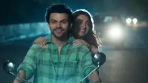 പുതുമയൊന്നുമില്ല, പ്രെഡിക്ടബിളായിരുന്നു... റിലീസായി ഒരാഴ്ച പിന്നിടുമ്പോഴും രണ്ട് കോടി പോലും നേടാനാകാതെ പ്രേം കീടാണു