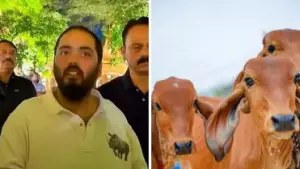 ഓഫീസില്‍ പോവുന്നതിന് മുമ്പ് പശുക്കളെ പരിപാലിക്കുന്നതാണ് ദിനചര്യ; എനിക്ക് പ്രചോദനം നരേന്ദ്ര മോദി: അനന്ത് അംബാനി
