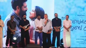 ബെത്ലഹേം ഹിറ്റായിട്ടും പ്രേമലു 2 ന്റെ നിരാശ മാറിയില്ലേ?; ഗിരീഷ് എ.ഡിക്ക് വിമര്‍ശനം