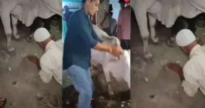 പശുവിനെ ചവിട്ടിയെന്നാരോപണം: മധ്യപ്രദേശില്‍ മുസ് ലിം വയോധികനെകൊണ്ട് പശുവിന്റെ കാല്‍ തൊട്ട് മാപ്പ് പറയിച്ച് ബജ്‌റംഗ്ദള്‍ പ്രവര്‍ത്തകര്‍