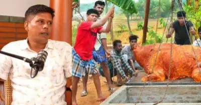 ഒന്നരലക്ഷം രൂപയാണ് ഒരു പോത്തിന്, വില പേശി വാങ്ങി നിര്‍ത്തിപൊരിച്ചു; അനുഭവം പങ്കുവെച്ച് ഫിറോസ് ചുട്ടിപ്പാറ