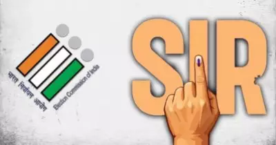 വെട്ടിമാറ്റിയ പേരുകൾ, ഉയർന്നുവരുന്ന സത്യങ്ങൾ
