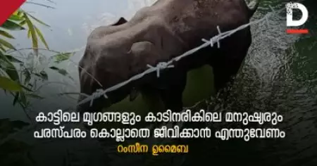 കാട്ടിലെ മൃഗങ്ങളും കാടിനരികിലെ മനുഷ്യരും: പരസ്പരം കൊല്ലാതെ ജീവിക്കാന്‍ എന്തുവേണം