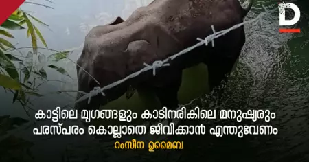 കാട്ടിലെ മൃഗങ്ങളും കാടിനരികിലെ മനുഷ്യരും: പരസ്പരം കൊല്ലാതെ ജീവിക്കാന്‍ എന്തുവേണം