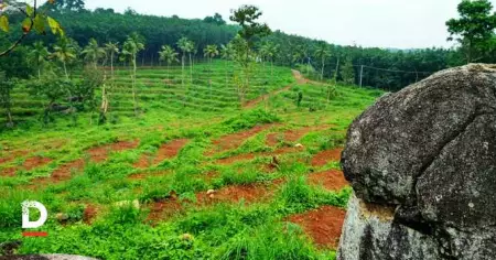 വ്യാജരേഖ ഉണ്ടാക്കി 150 ഏക്കര്‍ സര്‍ക്കാര്‍ ഭൂമി തട്ടിയെടുത്ത വെളിയം ഭൂമി തട്ടിപ്പ് അന്വേഷണം അട്ടിമറിക്കപ്പെടുന്നു?