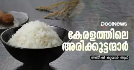 കേരളത്തിലെ അരിക്കുട്ടന്മാര്‍