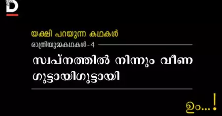രാത്രിയുമ്മക്കഥകള്‍-4 സ്വപ്‌നത്തില്‍ നിന്നും വീണ ഗുട്ടായി ഗുട്ടായി